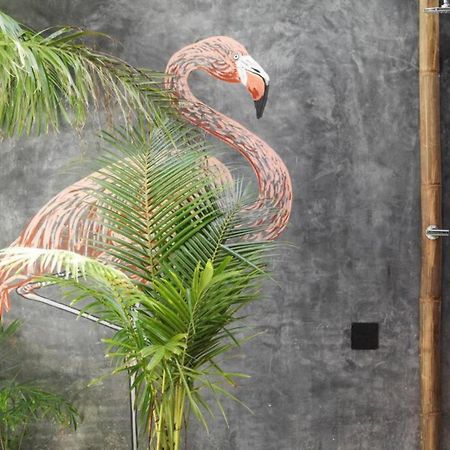 White Elephant Casa Boutique Tulum トゥルム エクステリア 写真