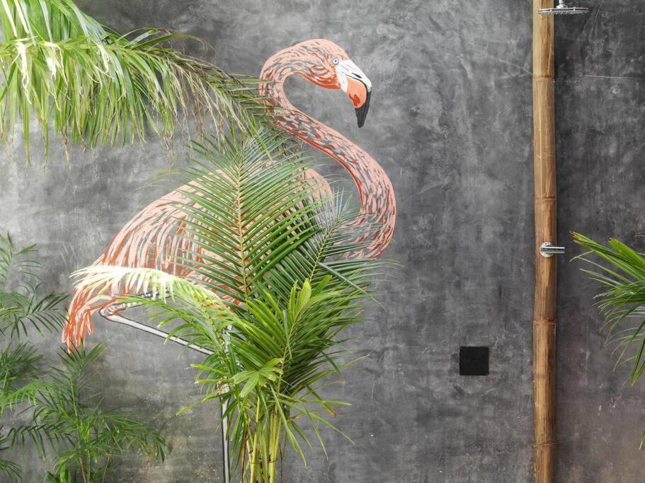 White Elephant Casa Boutique Tulum トゥルム エクステリア 写真