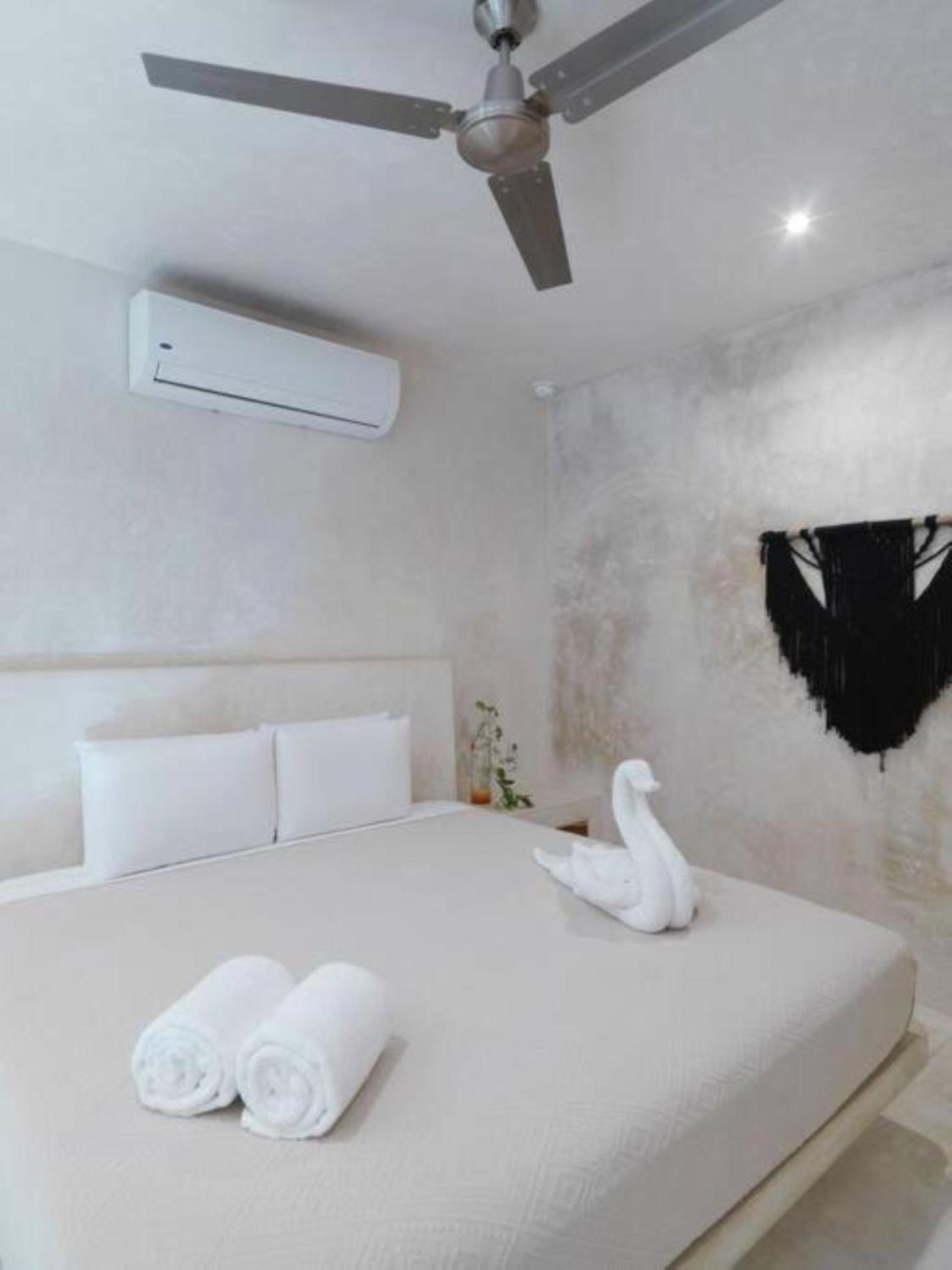 White Elephant Casa Boutique Tulum トゥルム エクステリア 写真